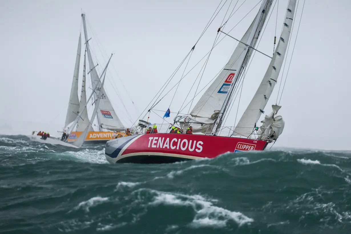 The Needles. Tenacious