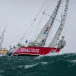 The Needles. Tenacious