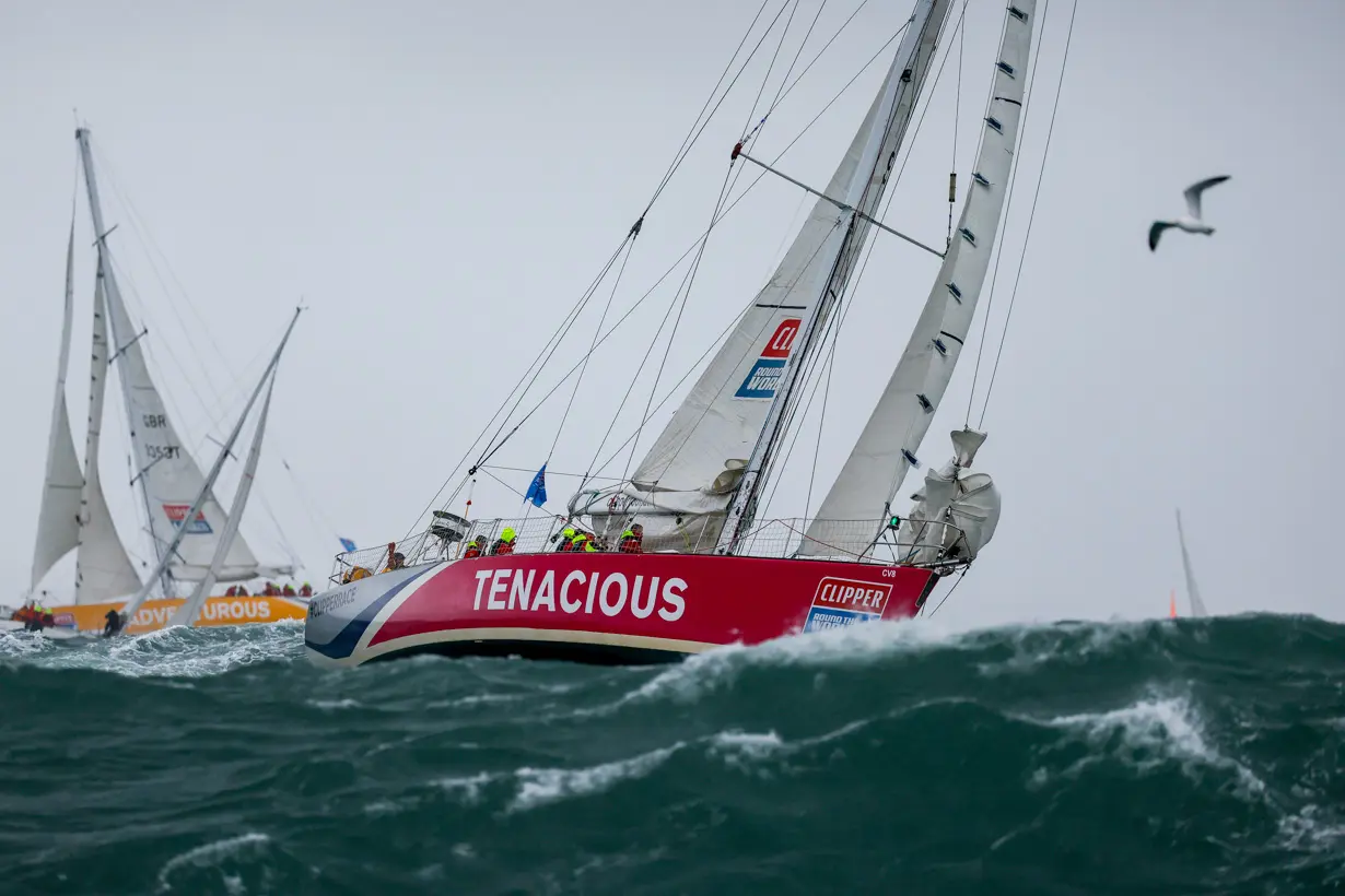 The Needles. Tenacious