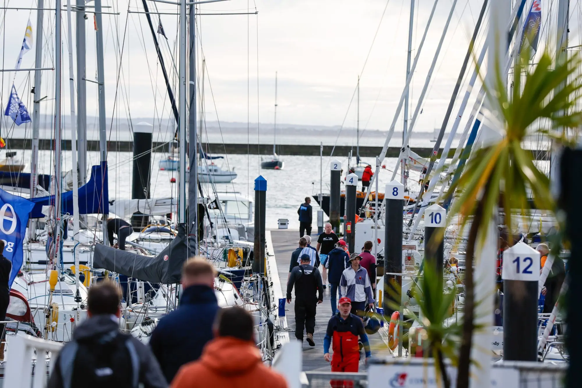 Round the Island Race 2025 – Race start