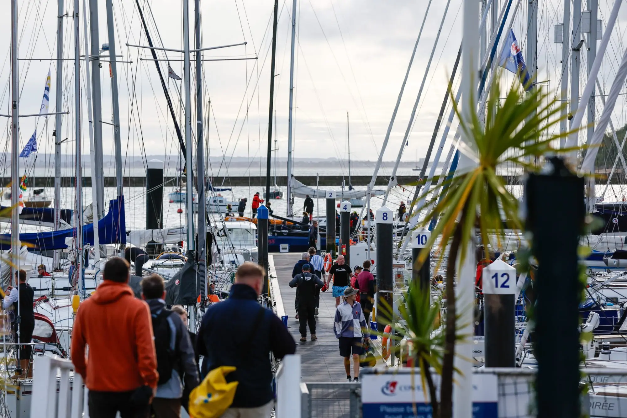 Round the Island Race 2025 – Race start