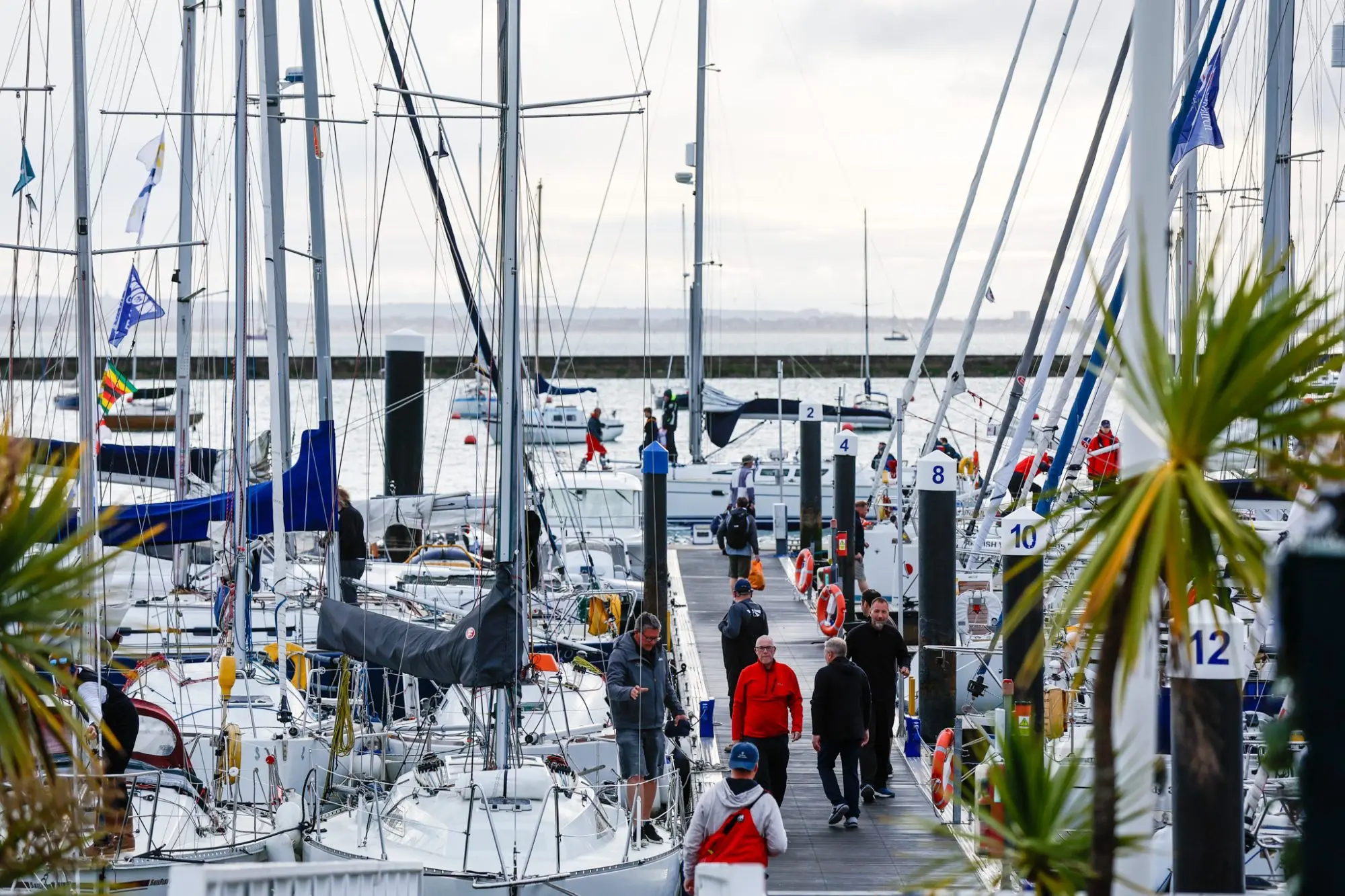 Round the Island Race 2025 – Race start